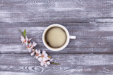 Top view of spring composition cup of coffee in the center, spring blooming almond branch with flowers on a gray whitewashed rustic wooden table. Flat lay, copy space