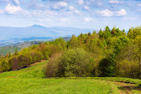 mountainous countryside in early spring. trees on the grassy hillside meadow. ridge with high peak in the far distance. clouds on the sky. beautiful nature of carpathians