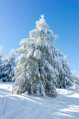 Winter landscape of Vitosha Mountain, Bulgaria