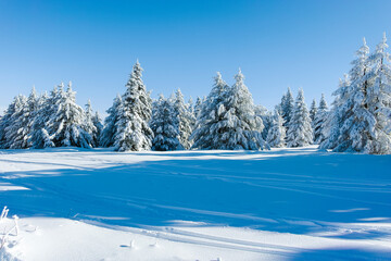 Winter landscape of Vitosha Mountain, Bulgaria