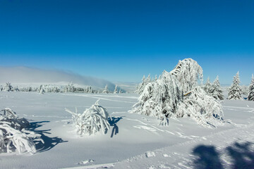 Obraz premium Winter landscape of Vitosha Mountain, Bulgaria