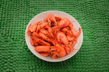 Small size coastal shrimp caught off the coast of northern Portugal, Atlantic Ocean.