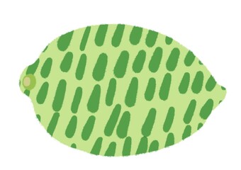 シンプルでかわいいグリーンレモンのイラスト