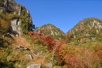 秋の深耶馬溪・鷲の巣山付近からの眺め