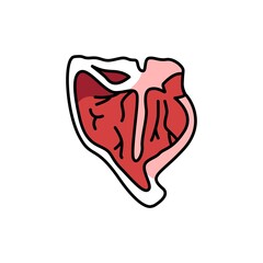 Steak beef porterhouse color line icon. Cutting meat. Pictogram for web page, mobile app, promo.