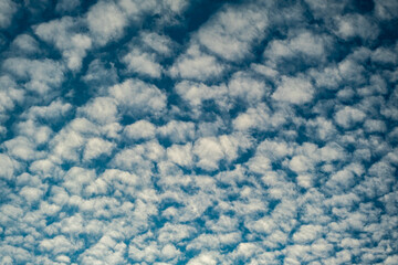 Cloud Texture