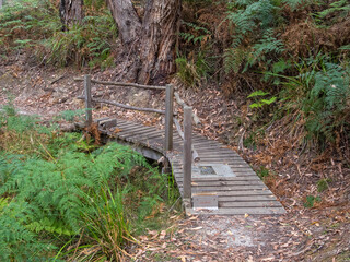 Boot cleaning station on a little wooden bridge - Princetown, Victoria, Australia