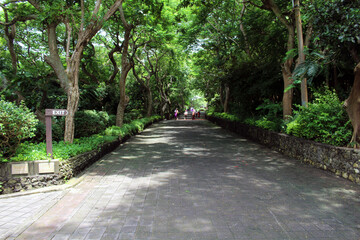 Almost no tourists visiting Uluwatu Temple complex during pandemic. Taken January 2022.