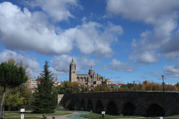 Catedral de Salamanca y Puente Romano