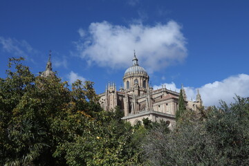 Fototapeta na wymiar Catedral de Salamanca desde el Huerto de Calisto y Melibea