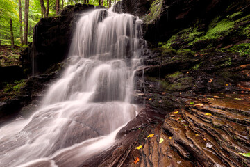 waterfall in the woods