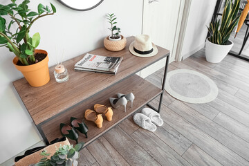 Houseplants, reed diffuser, hat and shoes on shelves in hallway
