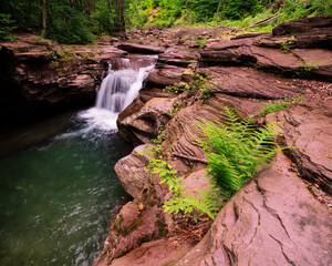 waterfall in the forest