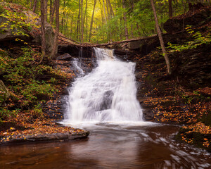 waterfall in the woods