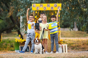 Cute children selling lemonade in park
