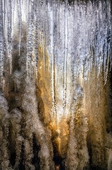 Obraz premium Photographed from behind a frozen waterfall, light shines through a wall of ice illuminating hanging icicles at Upper Cataract Falls in Indiana during a winter cold spell.