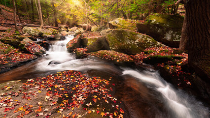 waterfall in autumn forest