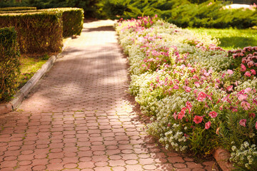 Pathway with flowers in autumn park