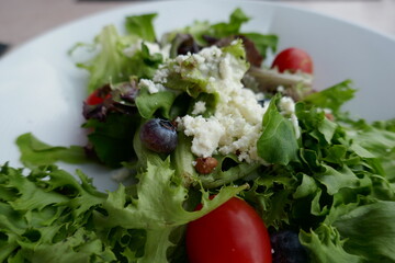 Close-up of fresh, light salad plate