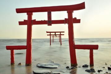 大魚神社の海中鳥居