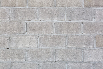 Brick and block masonry walls with plaster