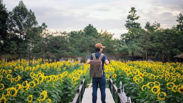 Asian man walking and take photo in sunflower field landscape background.Concept of travel in summer season at Thailand.