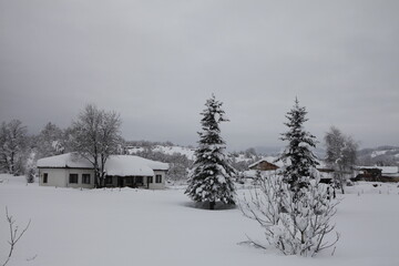 Fototapeta na wymiar Winter in the Balkans. Snow covered trees. 