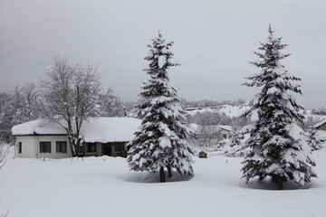 Winter in the Balkans. Snow covered trees. 