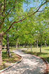 Bulguksa Temple green forest trail in Gyeongju, Korea