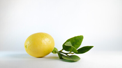 Yellow lemon harvested in mexico full of vitamin c.