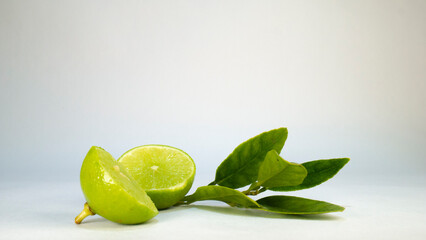 Lemon harvested in mexico its unique and rich flavor make it an unforgettable food.