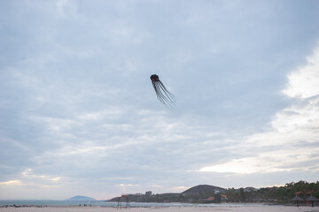 Scenic sea view. Beach activities, holidays, weekends on the seacoast, ocean view. Balloon in the form of a black octopus flies on the beach. 