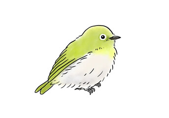 手描きのかわいい黄緑色の小鳥メジロ