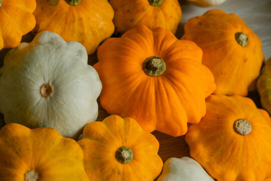 Squash lies on a yellow background. Orange pumpkin patissons lie on the table for the autumn season.