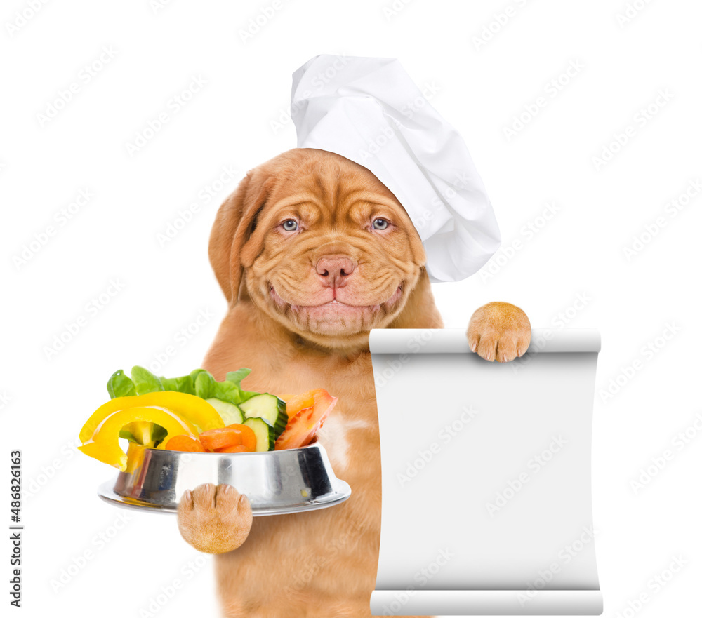 Poster Smiling puppy wearing a chef's cap  holds bowl of vegetables and empty list. isolated on white background