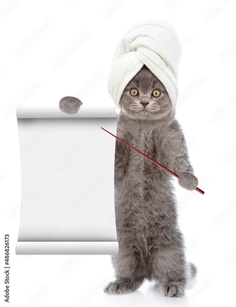 Poster cute tiny kitten with towel on it head points on empty list. isolated on white background