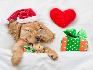 Funny English Cocker Spaniel puppy wearing red santa hat sleeps with red heart and gift box and toy...