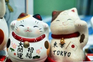 Maneki neko or japanese lucky cat decoration