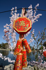 Lunar new year decoration
