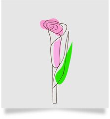 illustration of a pink flower