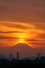 薄雲りのダイヤモンド富士　江戸川土手