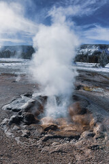 Yellowstone Winter Images 2022, West Yellow Stone, Geysers, Bison, Snow, Ice, Waterfalls Coyotes, Swans, Volcanic Features