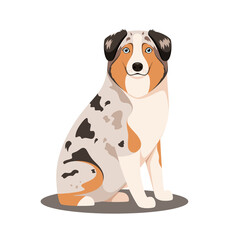 Australian Shepherd on a white background. Cartoon design.
