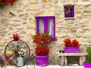 Fototapeta na wymiar Beautiful picturesque image of the ancient stone house with flowers and a sleeping cat