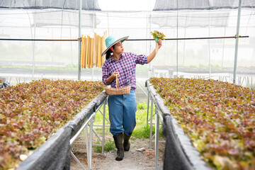 Beauty Asian woman farmer owner with smile holding hydroponic vegetables and checking organic plant growing in farm.Small business entrepreneur concept