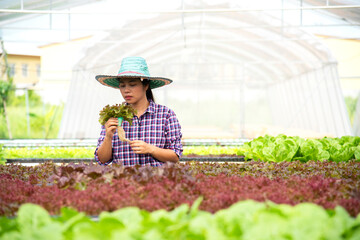 Beauty Asian woman farmer owner with smile holding hydroponic vegetables and checking organic plant growing in farm.Small business entrepreneur concept