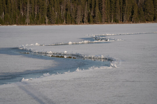 Prince Albert National Park