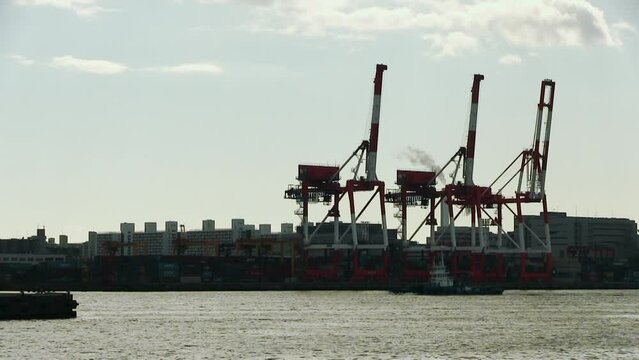 赤レンガ倉庫横広場から望む南港　通過する船舶