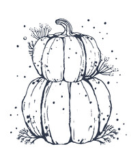 The background with Pumpkins is decorated with dill branches. Hand drawn in vintage style. Flat vector illustration. EPS10