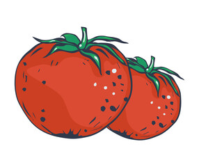 Two juicy red tomatoes. Vegetable Tomato isolated on white background. Flat vector style. EPS 10